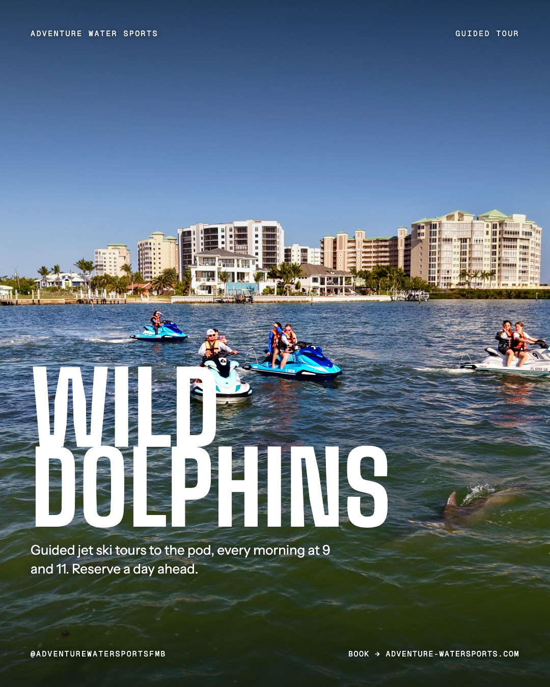Adventure Water Sports dolphin tour post